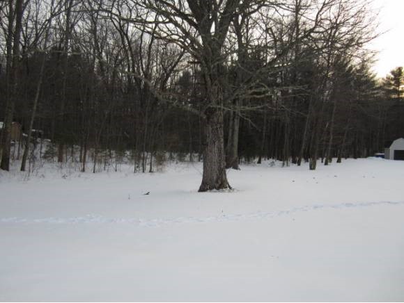 79 D Dover Neck Road Dover, NH 03820 - Photo 1 of 1