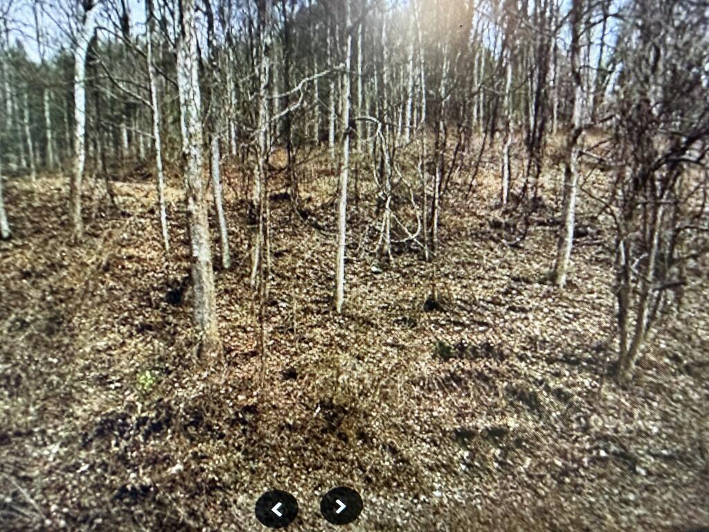 Tbd Tbd Riverside Drive, Unit 5 Raven, VA 24639 - Photo 2 of 4 Gallery Image 2