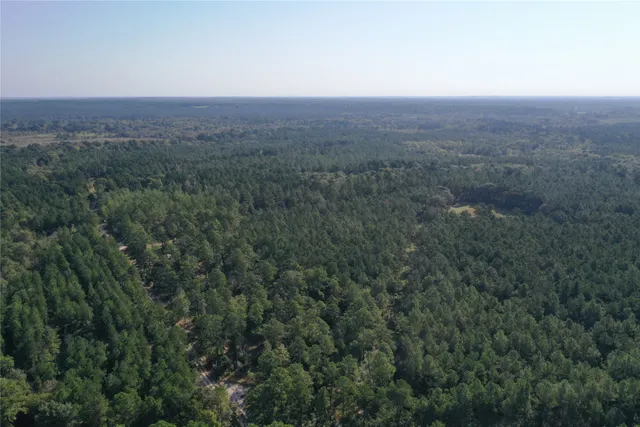 $2,509,908 | 4 Trinity Lady Park Road, Trinity, TX 75862