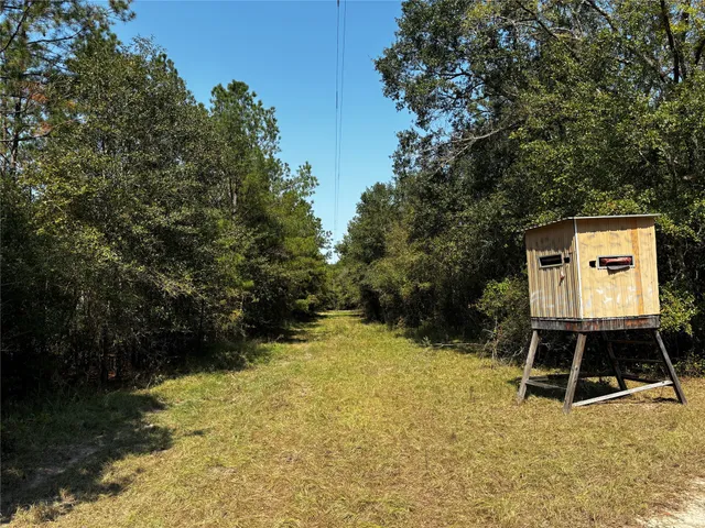 $2,509,908 | 4 Trinity Lady Park Road, Trinity, TX 75862