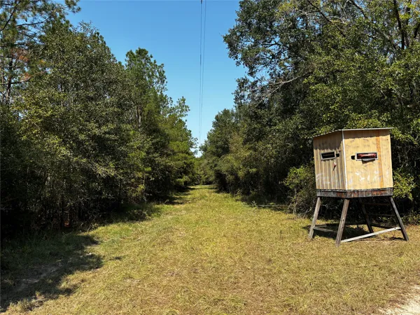 $2,208,827 | 4 Trinity Lady Park Road, Trinity, TX 75862