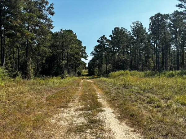 $2,208,827 | 4 Trinity Lady Park Road, Trinity, TX 75862