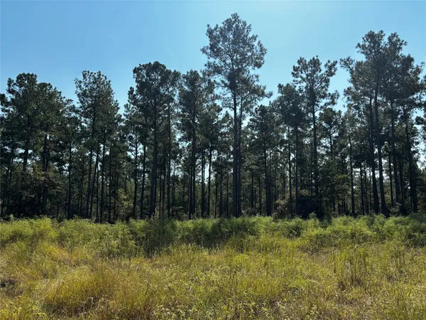 $2,208,827 | 4 Trinity Lady Park Road, Trinity, TX 75862