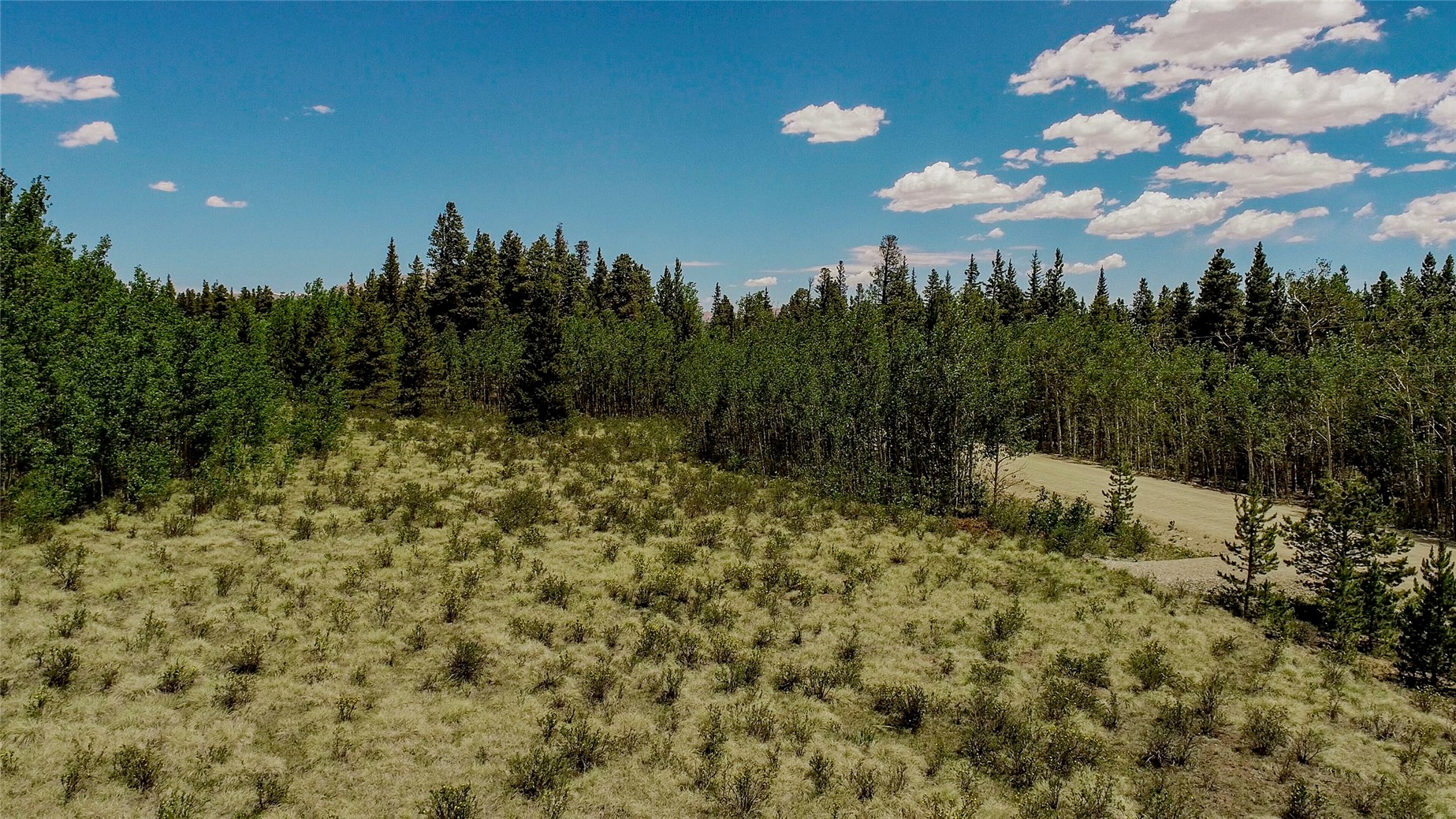 515 Wild Rye Road Fairplay, CO 80440 - Photo 10 of 24