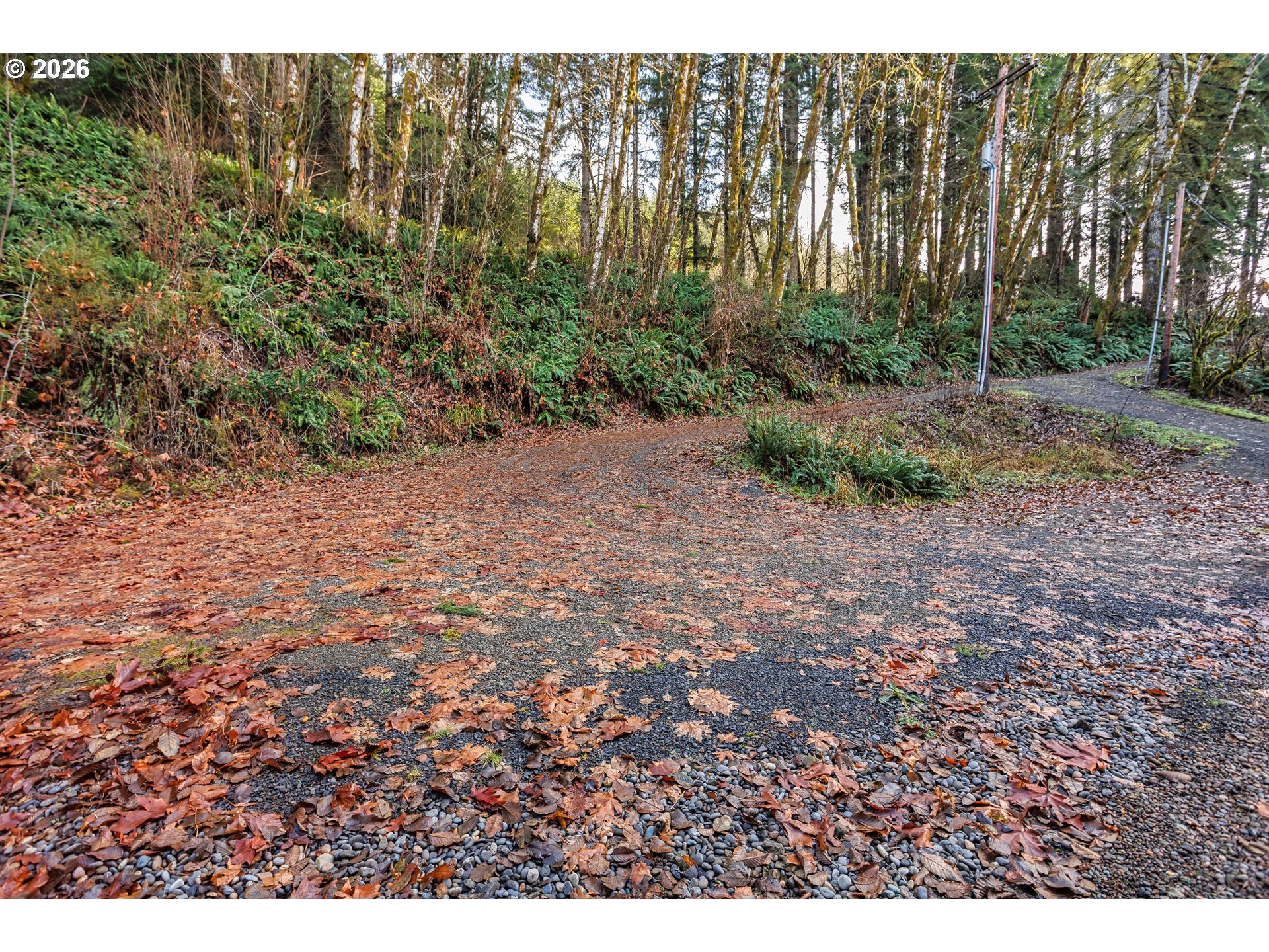 71381 Fishhawk Road Birkenfeld, OR 97016 - Photo 20 of 26 a view of a yard with plants and trees