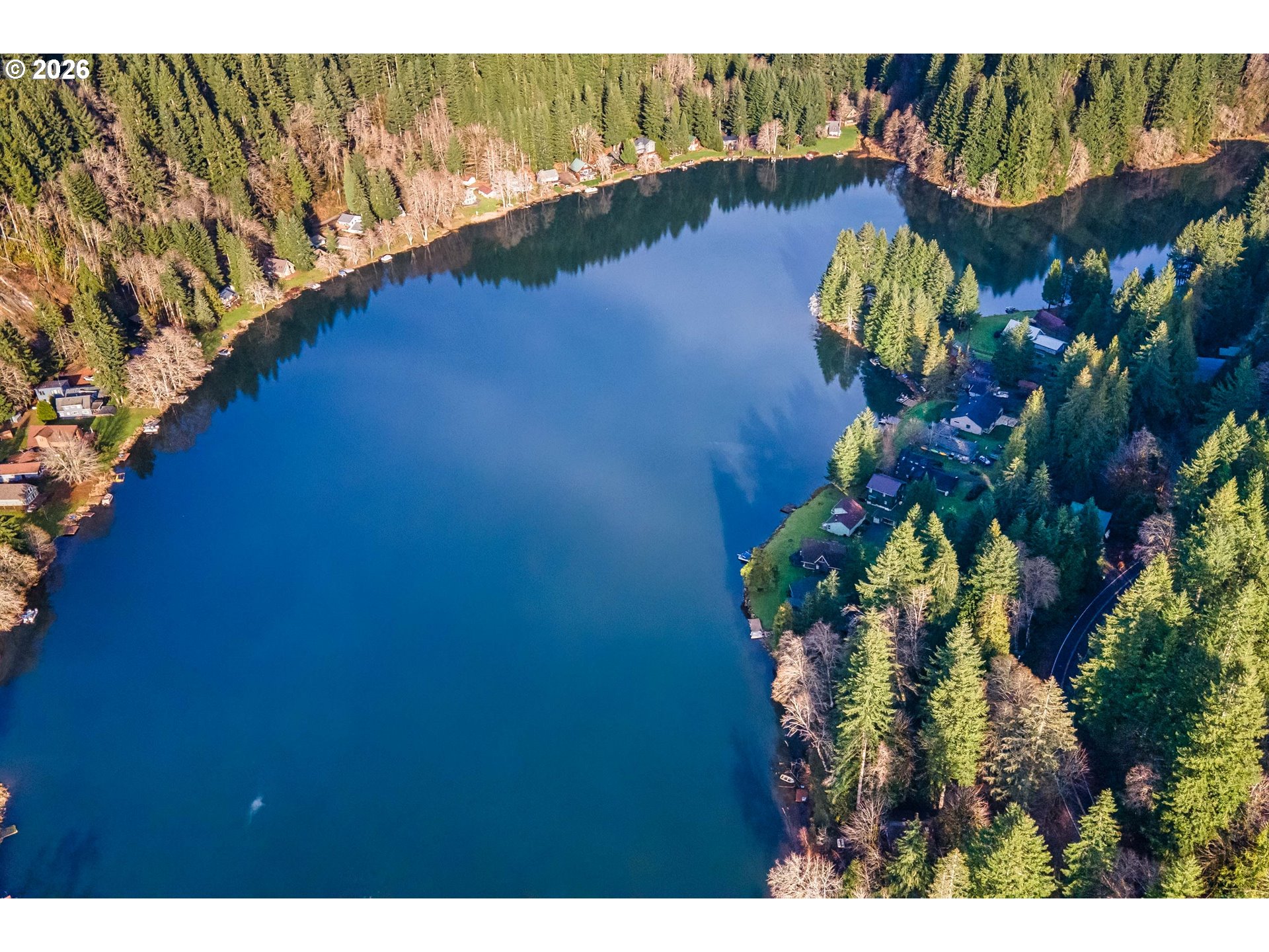 71381 Fishhawk Road Birkenfeld, OR 97016 - Photo 26 of 26 a view of a lake with a garden