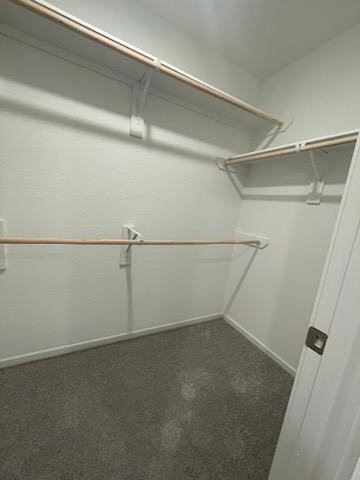 275 Lisa Marie Drive Angleton, TX 77515 - Photo 12 of 21 a view of an empty walk in closet