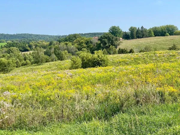 $1,050,000 | Tbd-c County 8 Spring Grove, Mabel, MN 55954