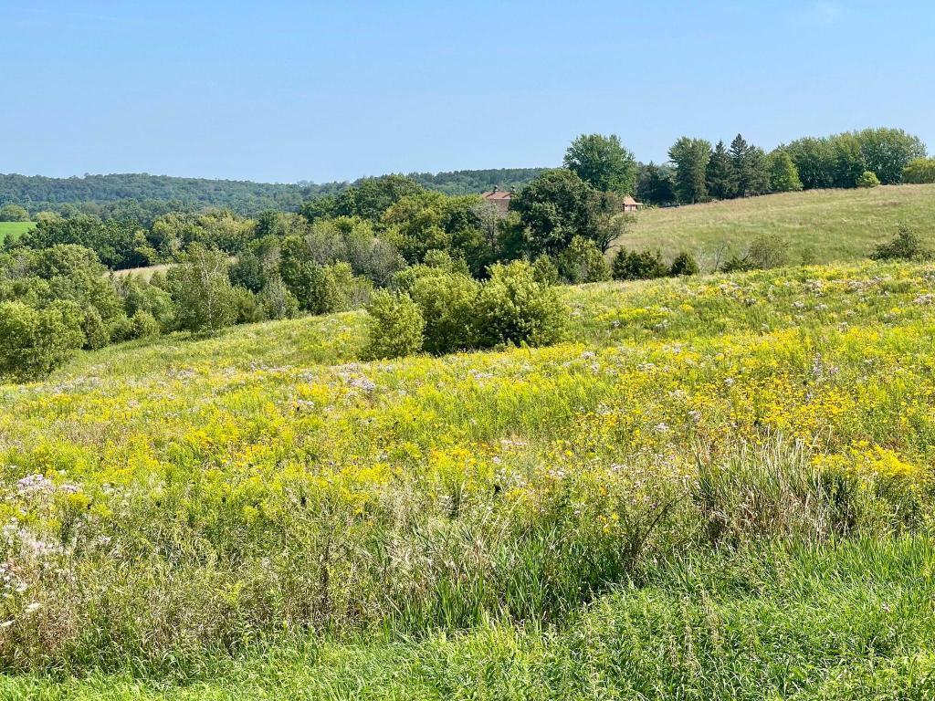 Tbd-c County 8 Spring Grove Mabel, MN 55954 - Photo 28 of 55