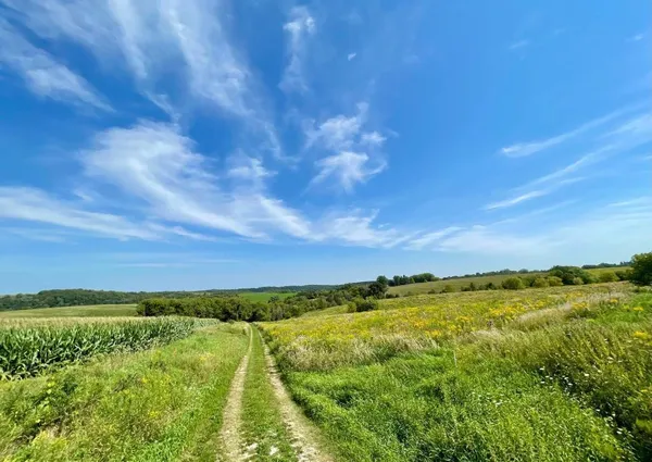 $1,050,000 | Tbd-c County 8 Spring Grove, Mabel, MN 55954