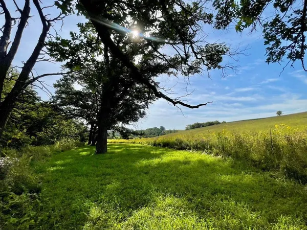 $1,050,000 | Tbd-c County 8 Spring Grove, Mabel, MN 55954