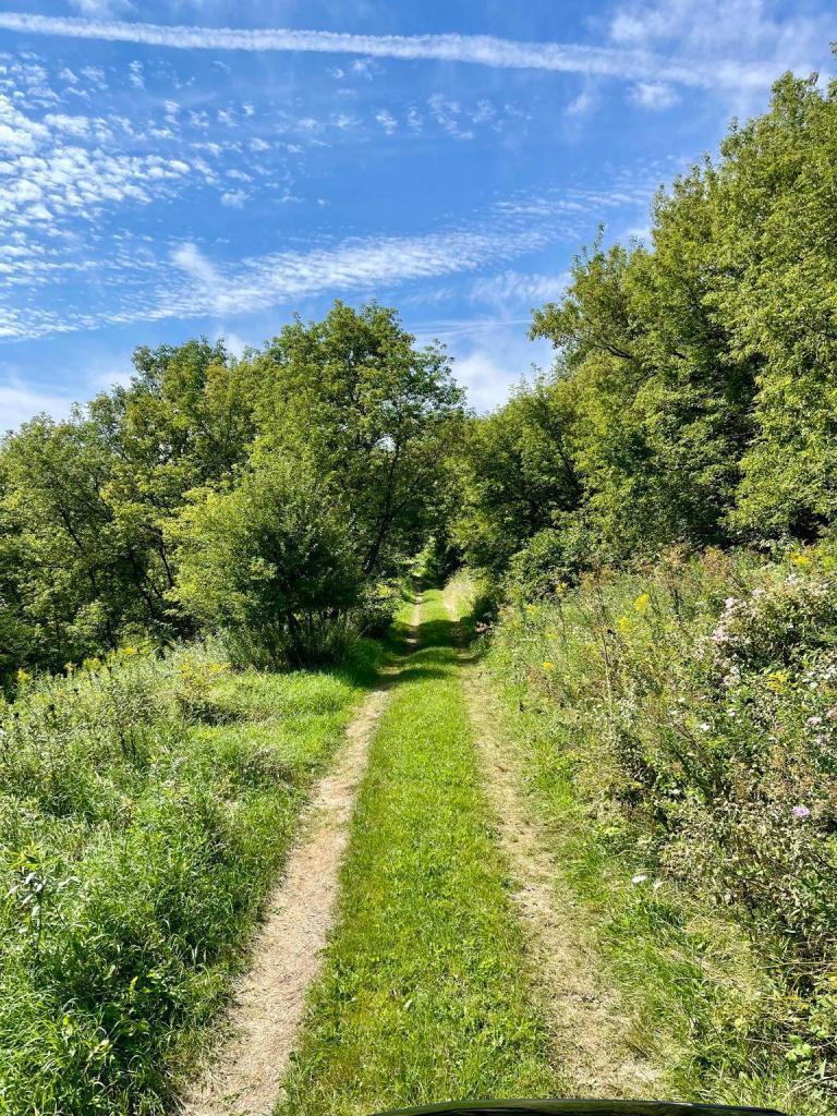 Tbd-c County 8 Spring Grove Mabel, MN 55954 - Photo 37 of 55