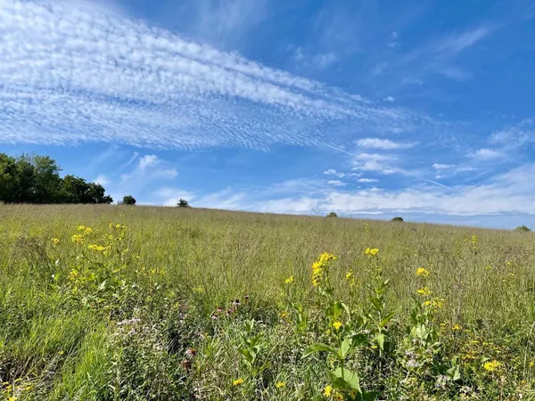 $1,050,000 | Tbd-c County 8 Spring Grove, Mabel, MN 55954
