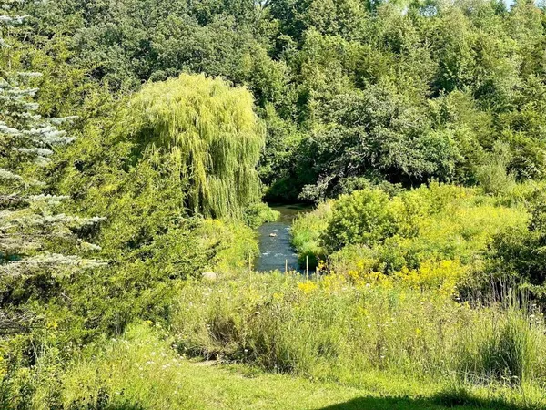 $1,050,000 | Tbd-c County 8 Spring Grove, Mabel, MN 55954