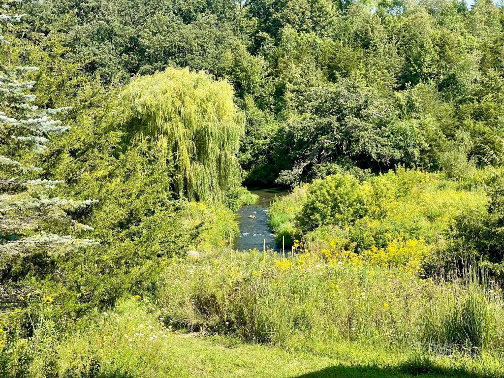 Tbd-c County 8 Spring Grove Mabel, MN 55954 - Photo 39 of 55