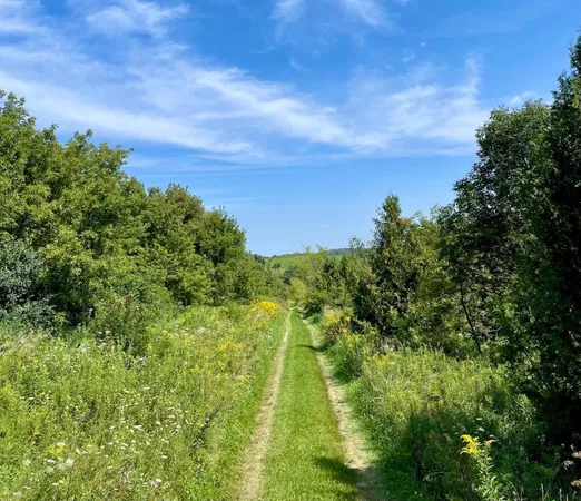 $1,050,000 | Tbd-c County 8 Spring Grove, Mabel, MN 55954