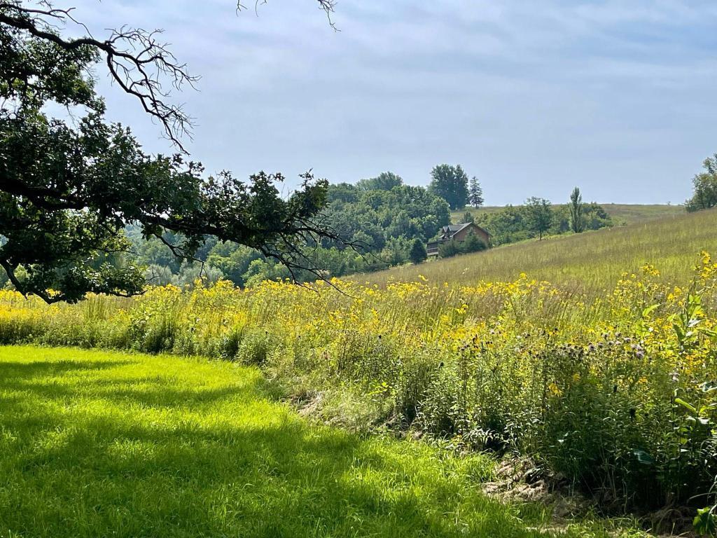 Tbd-c County 8 Spring Grove Mabel, MN 55954 - Photo 44 of 55