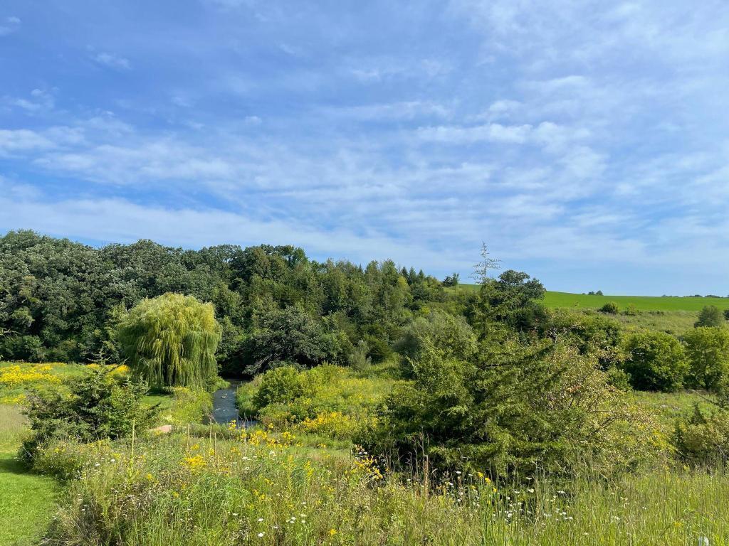 Tbd-c County 8 Spring Grove Mabel, MN 55954 - Photo 48 of 55