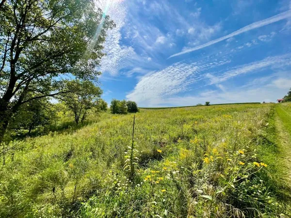 $1,050,000 | Tbd-c County 8 Spring Grove, Mabel, MN 55954