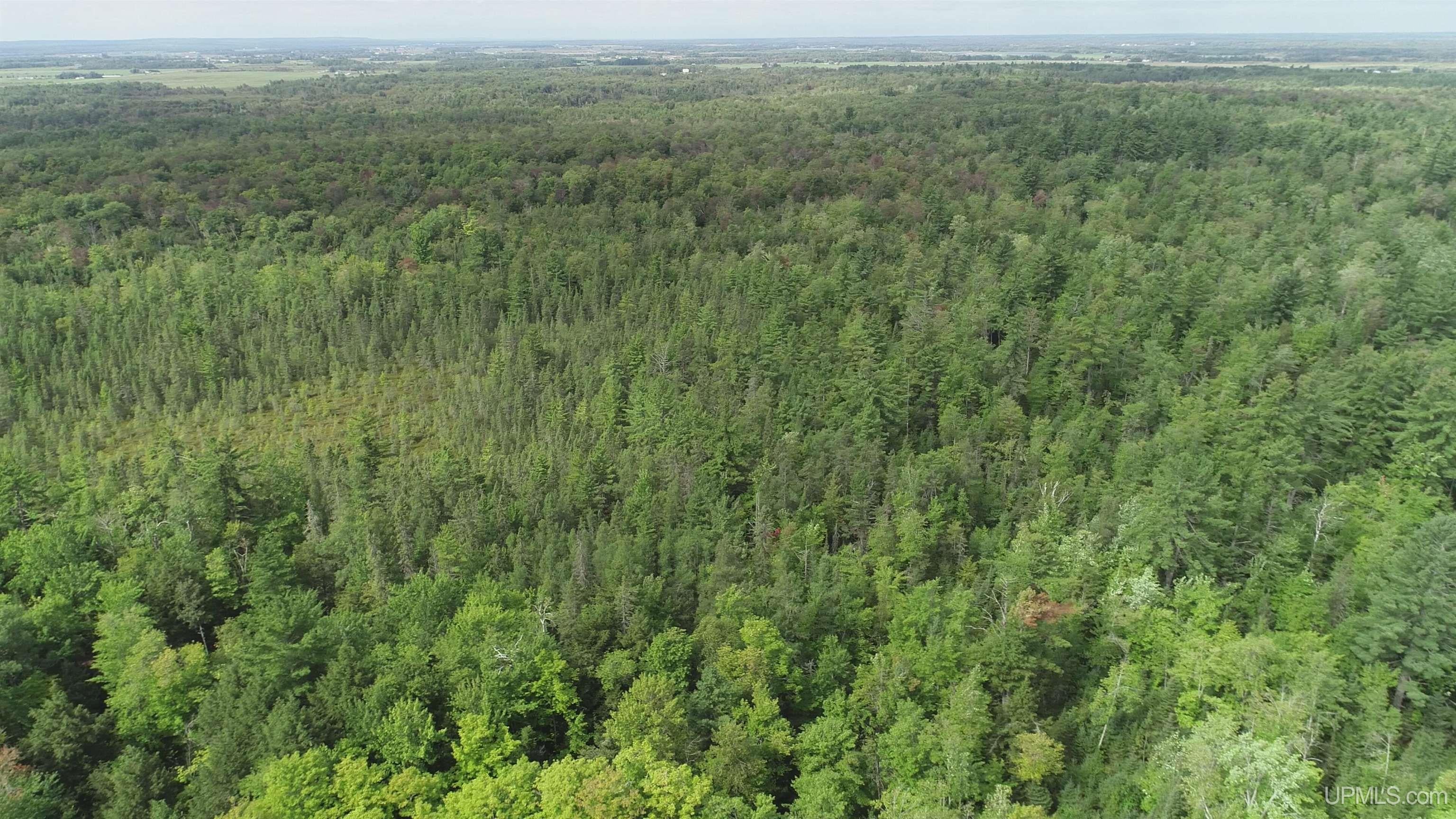 23 East 23 Mile Road Pickford, MI 49774 - Photo 32 of 58 Gallery Image 32