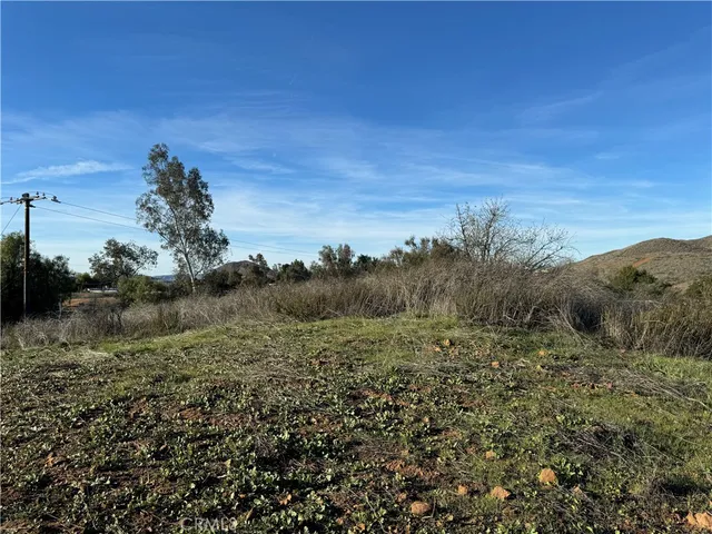a view of a field with an ocean