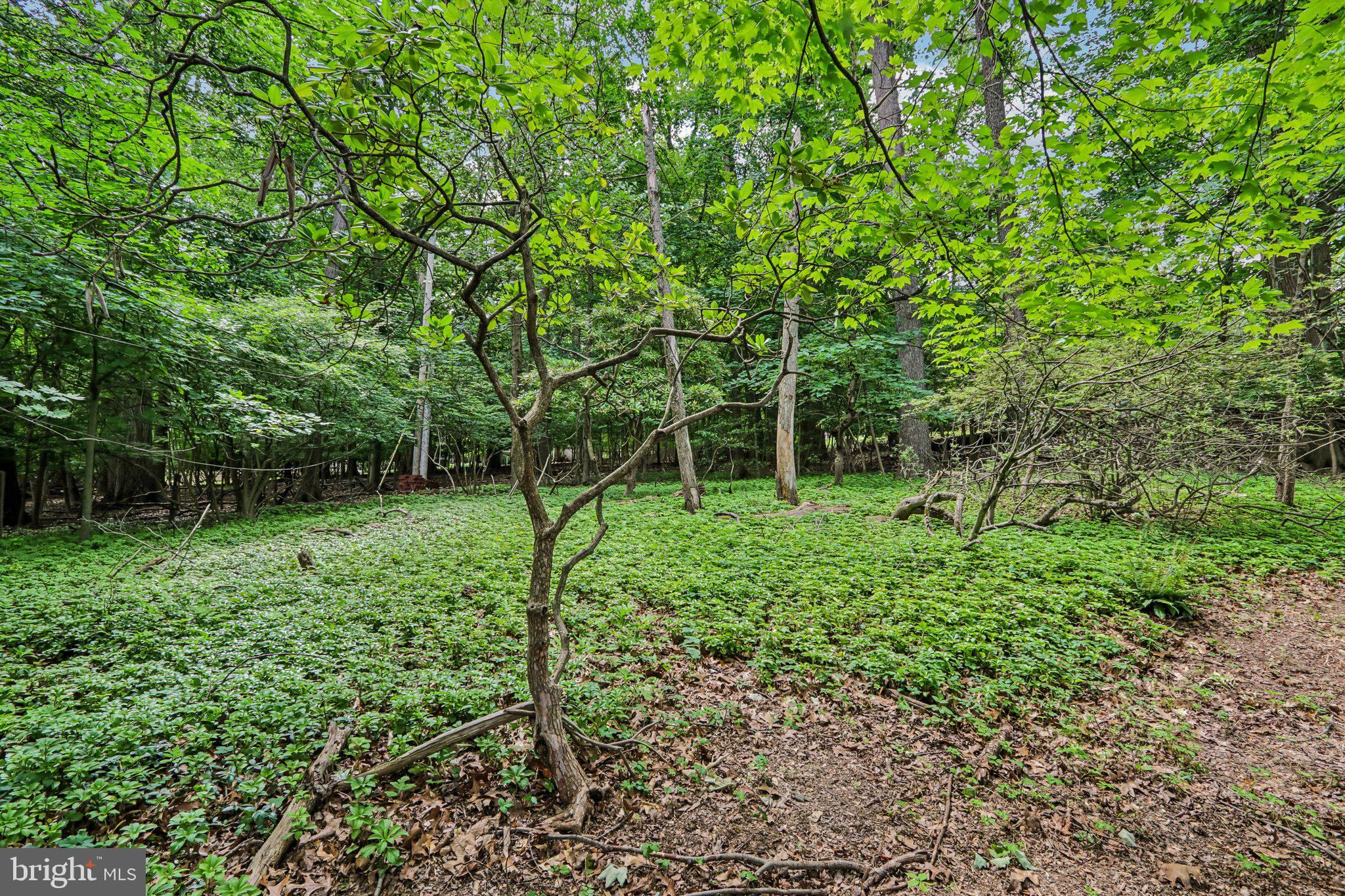 919 Croton Road Wayne, PA 19087 - Photo 39 of 49