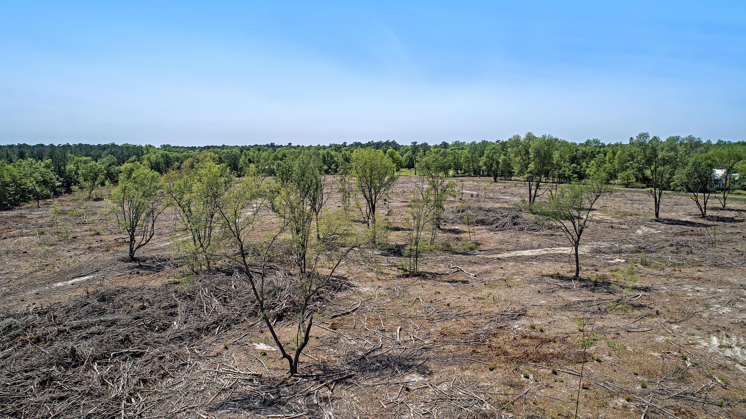 B Zion Road, Unit B Dorchester, SC 29437 - Photo 12 of 16 DJI_0023 copy
