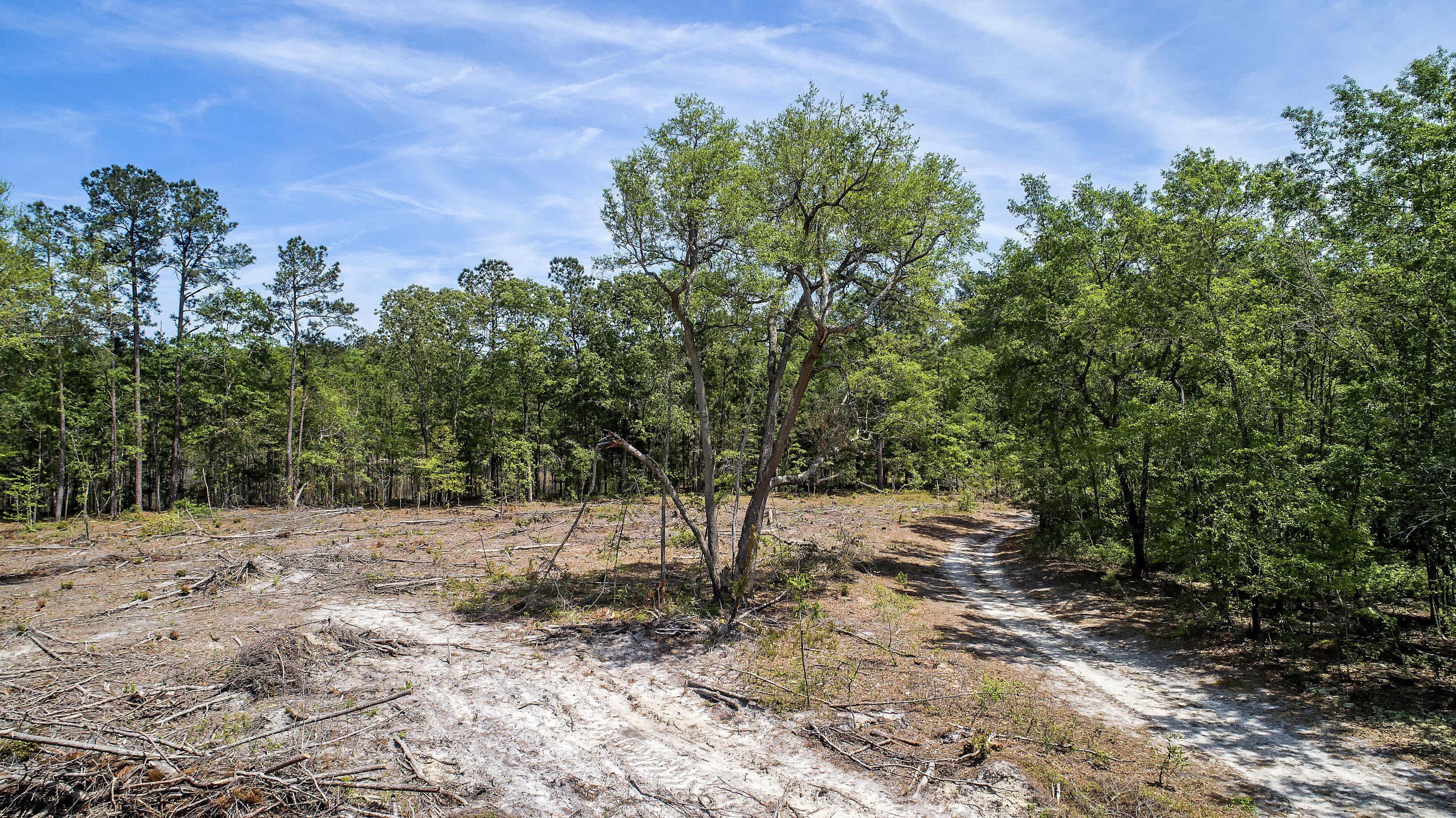 B Zion Road, Unit B Dorchester, SC 29437 - Photo 9 of 16 DJI_0025 copy