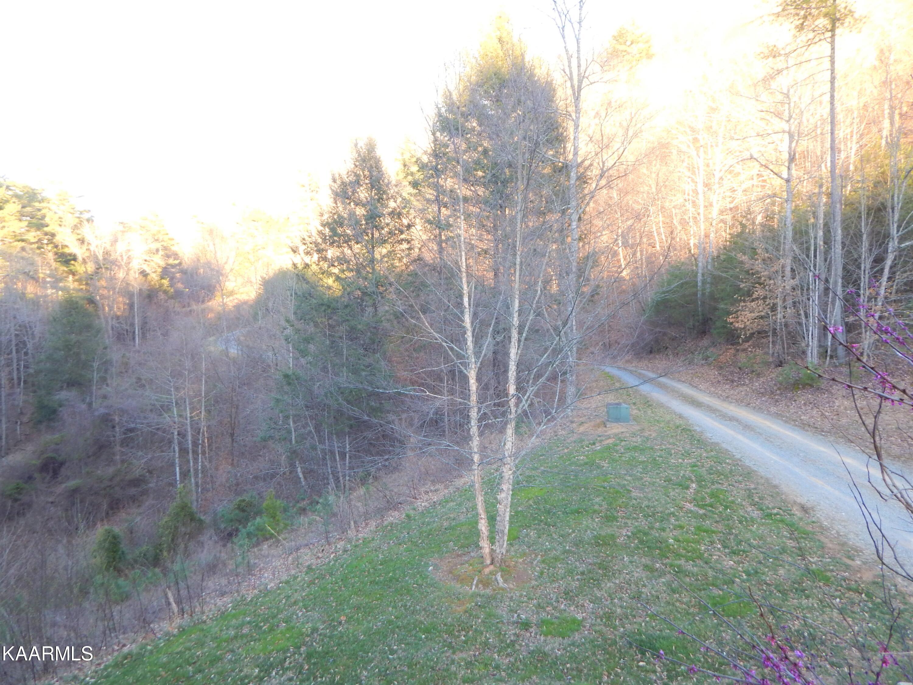 401 Moore Road Bristol, TN 37620 - Photo 16 of 34 DSCN6530