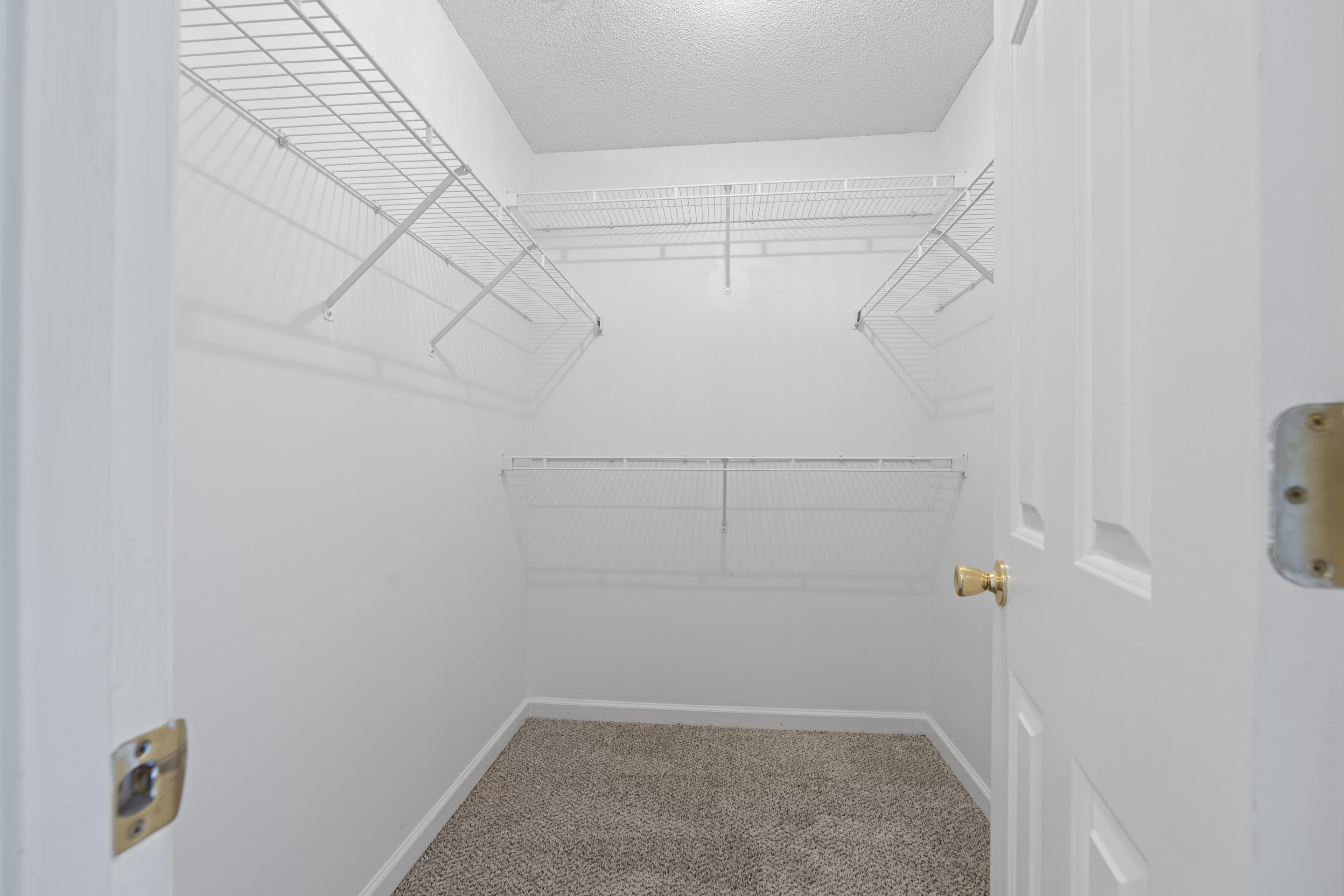 1104 Macon Hall Road Cordova, TN 38018 - Photo 12 of 34 Walk in closet featuring carpet flooring