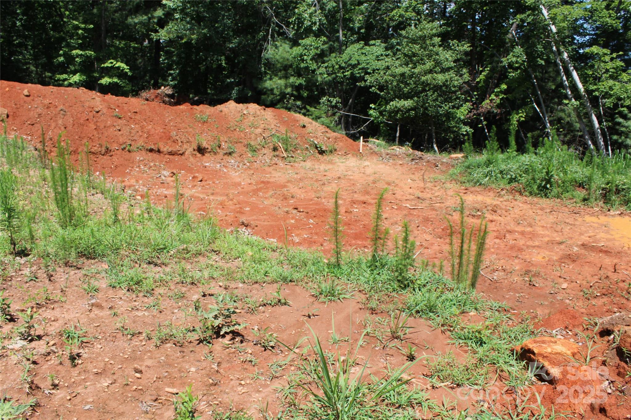 2080 John Byrd Road Morganton, NC 28655 - Photo 10 of 13 Gallery Image 10