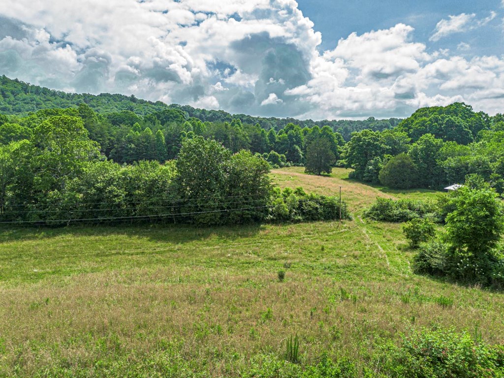 541 Pleasant Hill Road Copperhill, TN 37317 - Photo 19 of 20