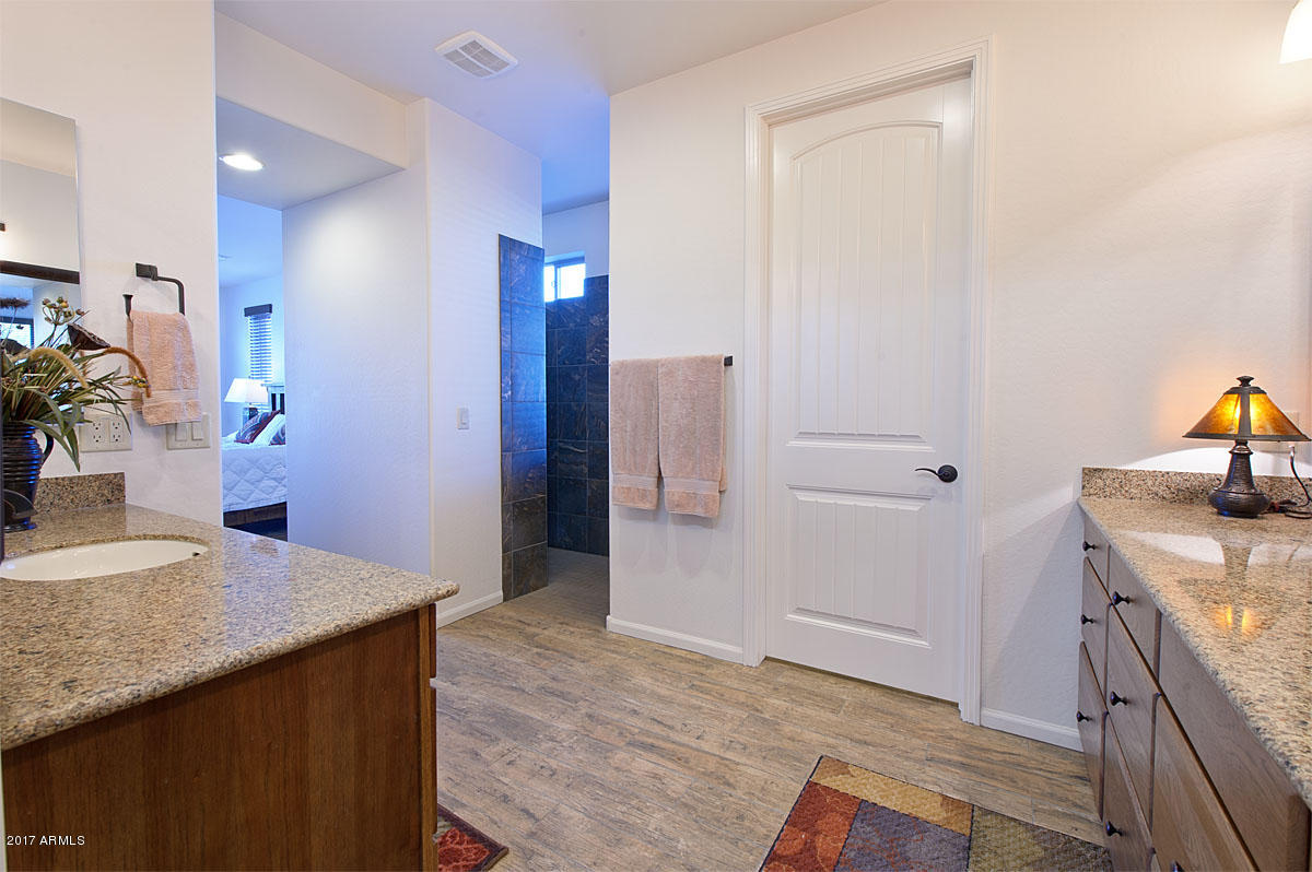 16824 West Berkeley Road Goodyear, AZ 85395 - Photo 14 of 35 Master Bathroom