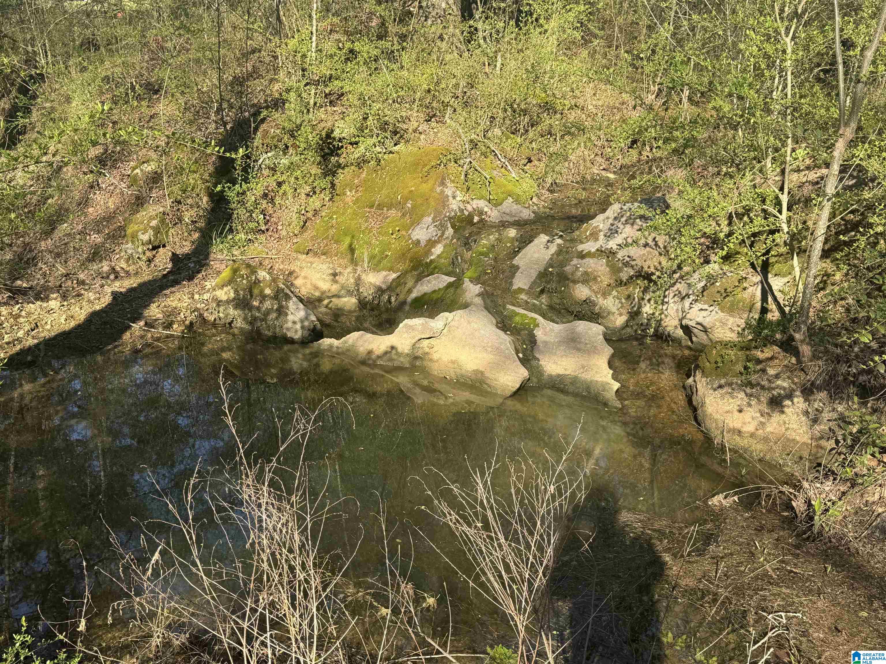 4987 Highway 411 Gadsden, AL 35901 - Photo 2 of 46