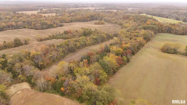 13536 Alleghany Road, Thompsonville, IL 62890