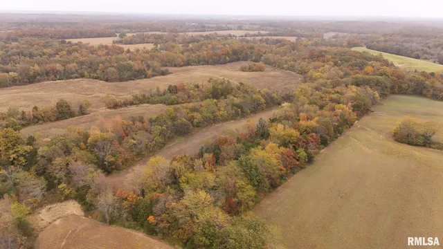 13536 Alleghany Road, Thompsonville, IL 62890