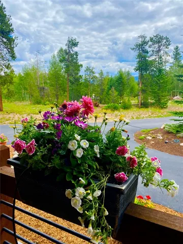 a view of a garden with a house