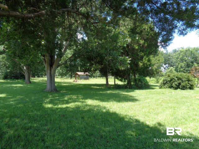 2256 Smith Dairy Road Atmore, AL 36502 - Photo 3 of 22