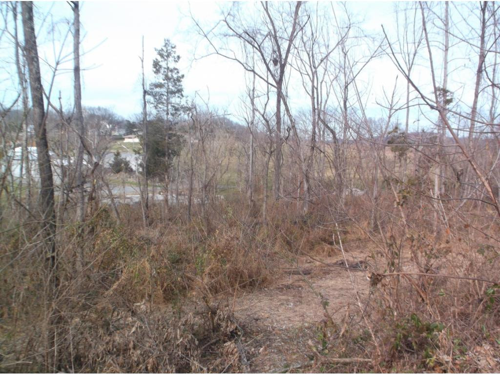 604 Woodlyn Road Johnson City, TN 37601 - Photo 25 of 35 Photo 25