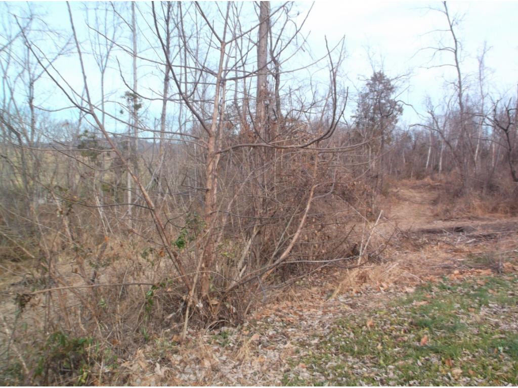604 Woodlyn Road Johnson City, TN 37601 - Photo 26 of 35 Photo 26