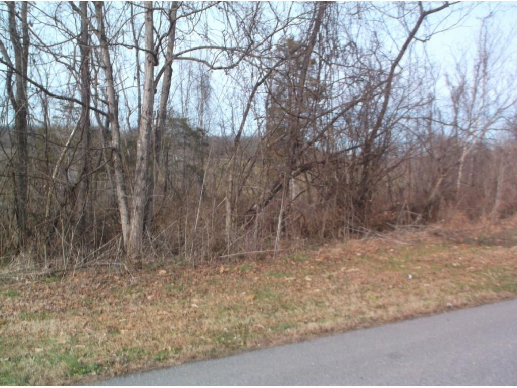 604 Woodlyn Road Johnson City, TN 37601 - Photo 28 of 35 Photo 28