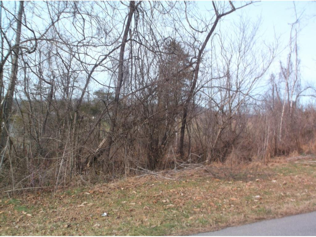 604 Woodlyn Road Johnson City, TN 37601 - Photo 29 of 35 Photo 29