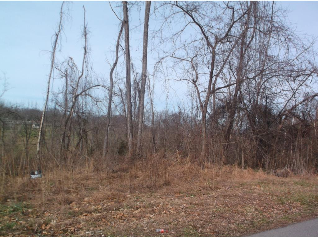 604 Woodlyn Road Johnson City, TN 37601 - Photo 30 of 35 Photo 30