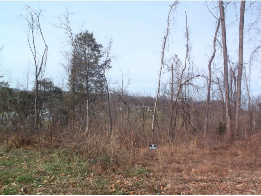 604 Woodlyn Road Johnson City, TN 37601 - Photo 31 of 35 Photo 31
