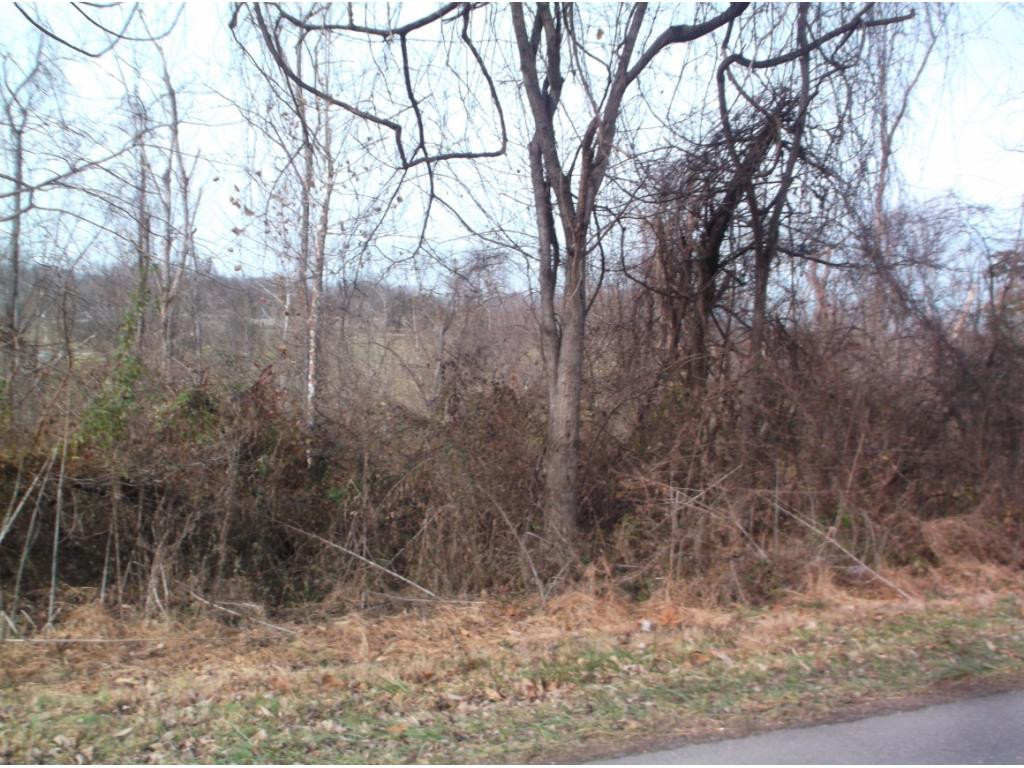 604 Woodlyn Road Johnson City, TN 37601 - Photo 32 of 35 Photo 32