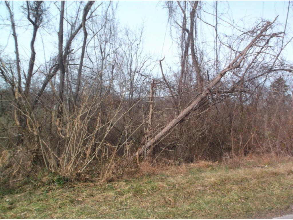 604 Woodlyn Road Johnson City, TN 37601 - Photo 33 of 35 Photo 33