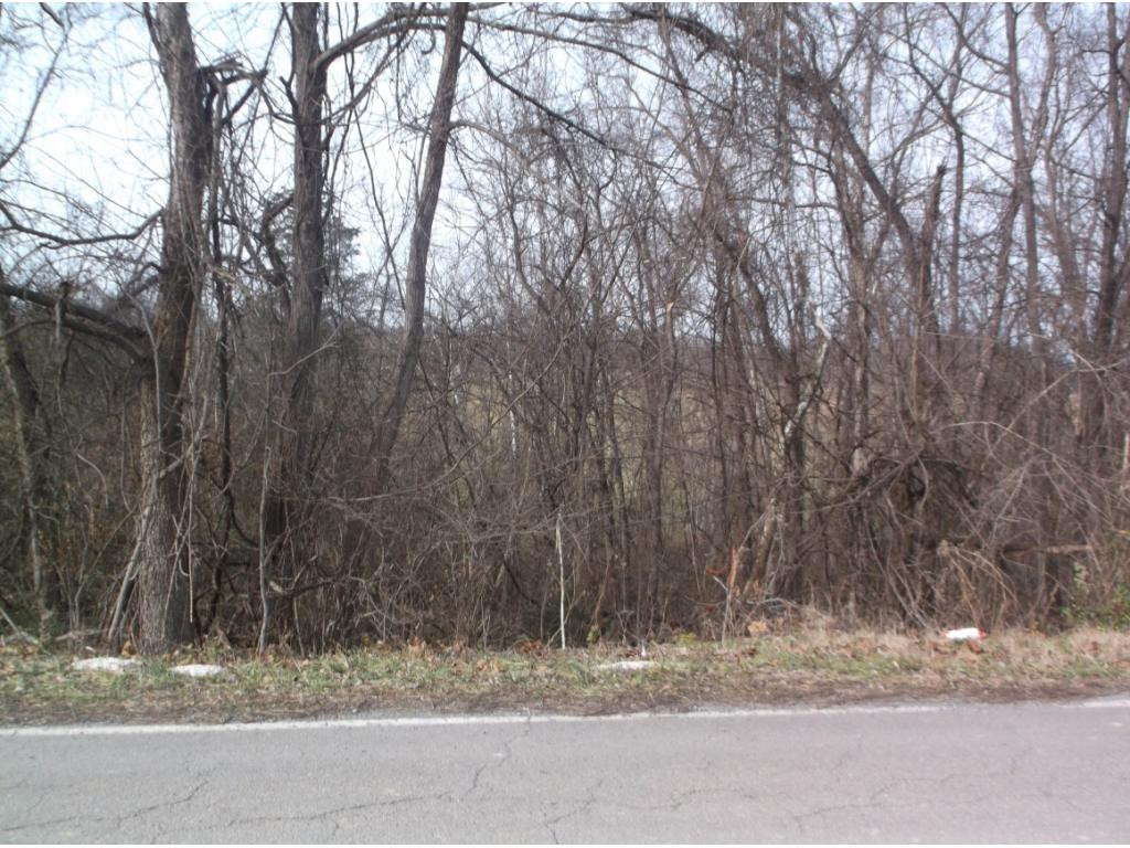 604 Woodlyn Road Johnson City, TN 37601 - Photo 34 of 35 Photo 34