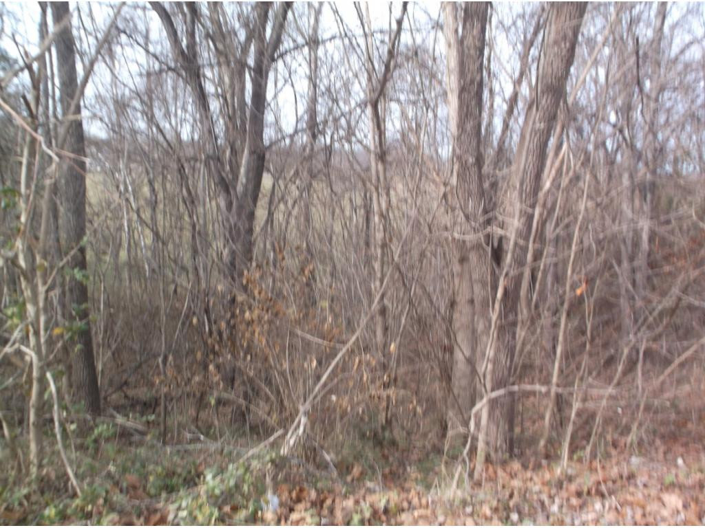 604 Woodlyn Road Johnson City, TN 37601 - Photo 35 of 35 Photo 35