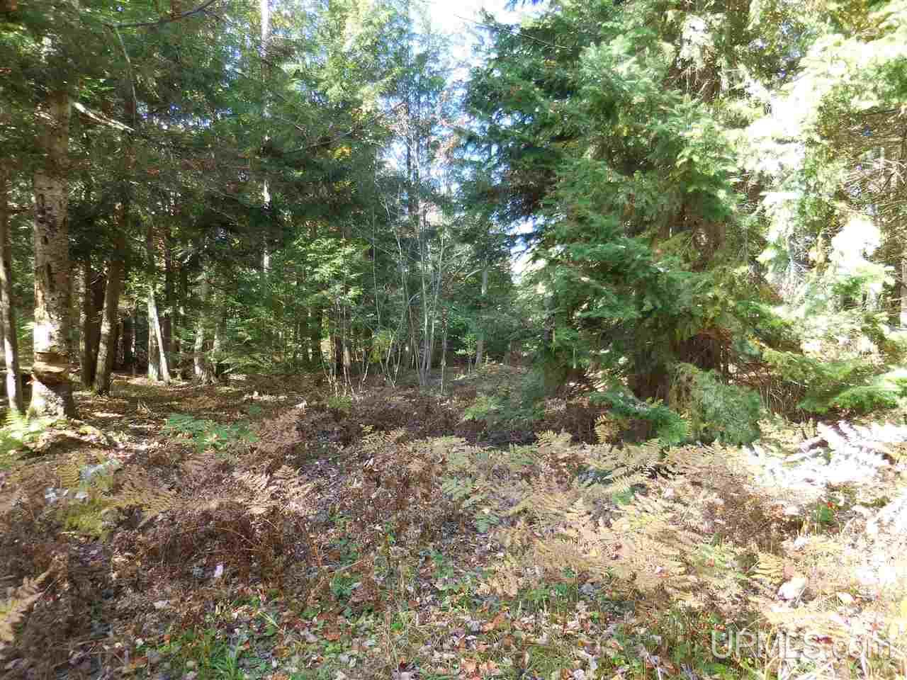 12 Acres Off Rice Road Manistique, MI 49854 - Photo 9 of 14