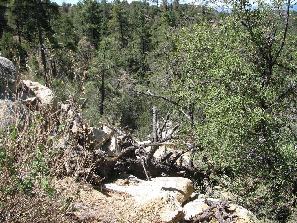 Lot 013 Copper Basin Road Prescott, AZ 86303 - Photo 6 of 8 a view of a tree in a yard